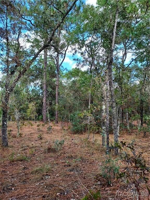 3.35 Acres of Land for Sale in Ocala, Florida