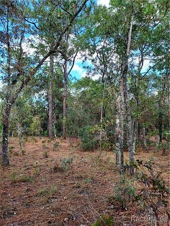 3.35 Acres of Land for Sale in Ocala, Florida