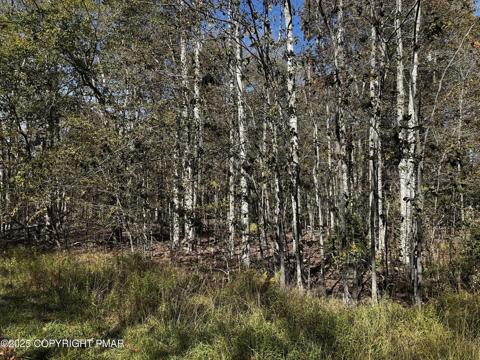 0.48 Acres of Residential Land for Sale in Pocono Pines, Pennsylvania