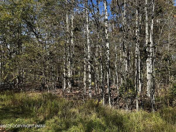 0.48 Acres of Residential Land for Sale in Pocono Pines, Pennsylvania