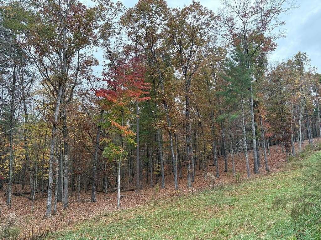 0.87 Acres of Land for Sale in Morganton, Georgia