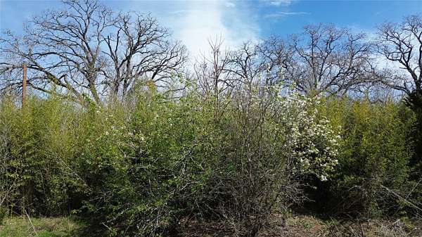 1.28 Acres of Residential Land for Sale in Bastrop, Texas