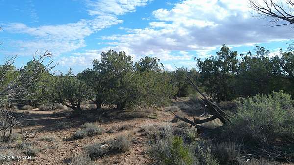 2.36 Acres of Residential Land for Sale in Snowflake, Arizona