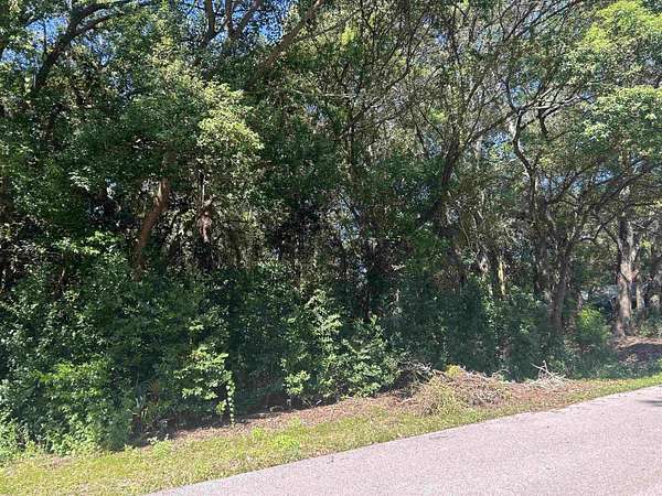 0.1 Acres of Land for Sale in Carrabelle, Florida