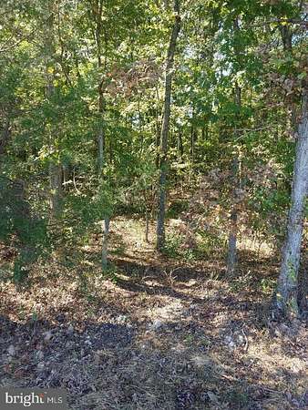 1.64 Acres of Residential Land for Sale in Unionville, Virginia
