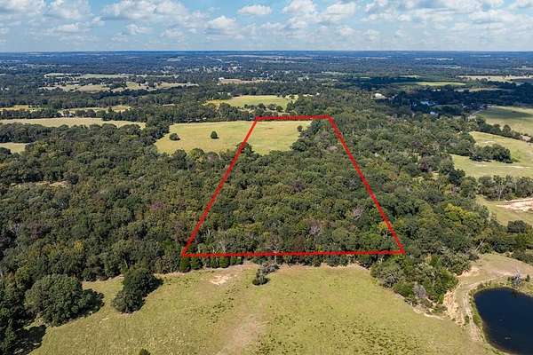 20 Acres of Agricultural Land for Sale in Athens, Texas
