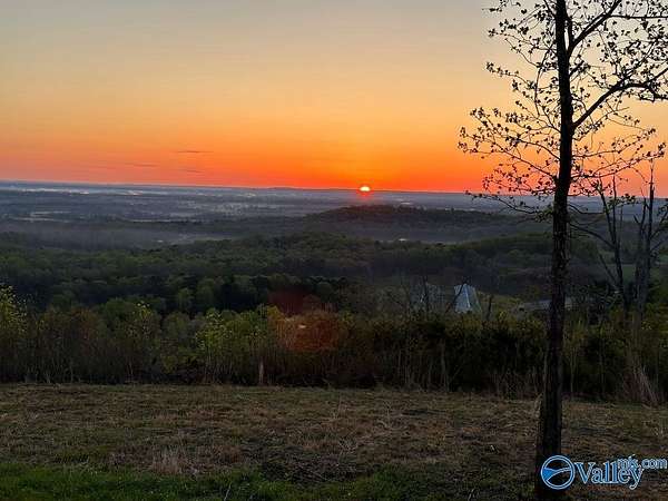 47.7 Acres of Recreational Land for Sale in Danville, Alabama