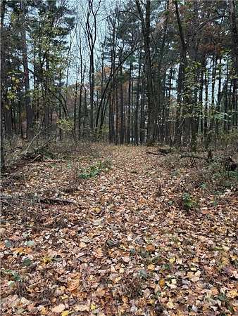 29 Acres of Recreational Land & Farm for Sale in Dalbo, Minnesota