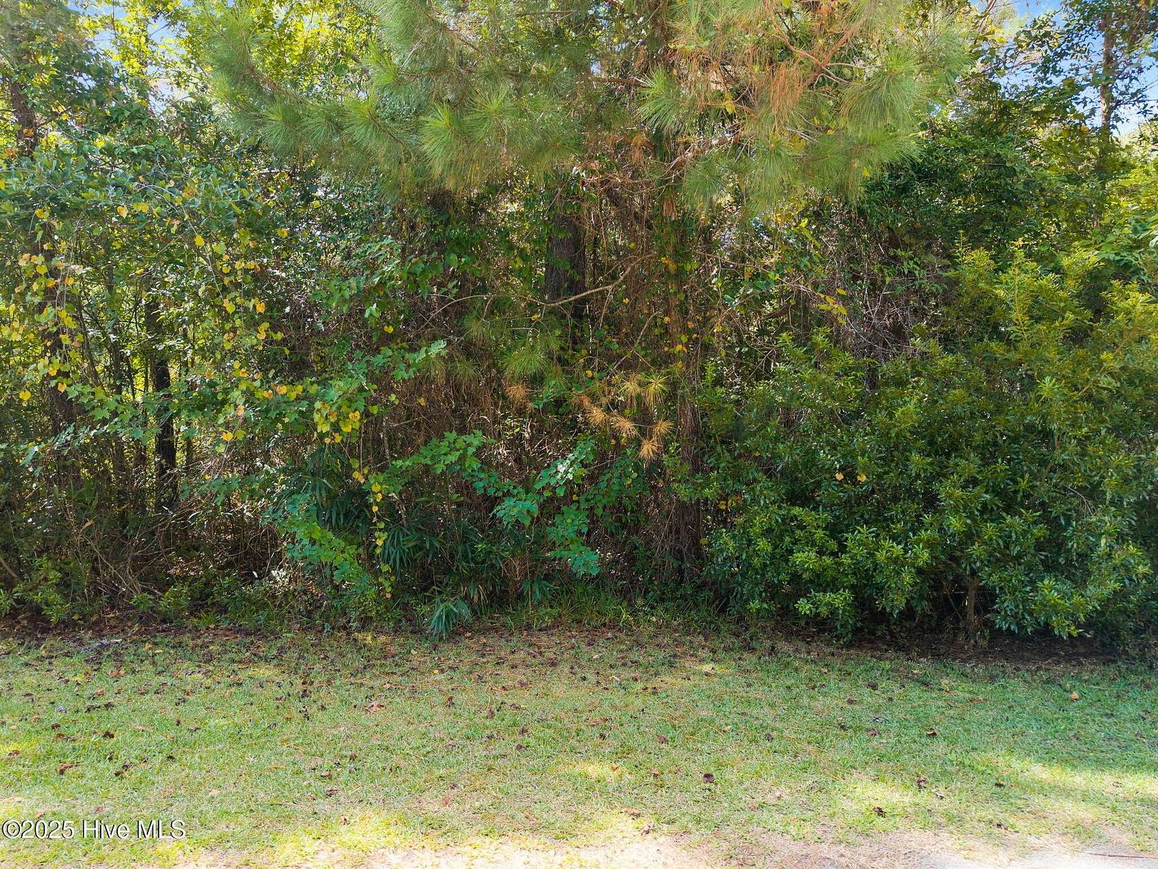 0.17 Acres of Land for Sale in Supply, North Carolina