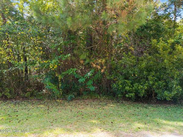 0.17 Acres of Land for Sale in Supply, North Carolina