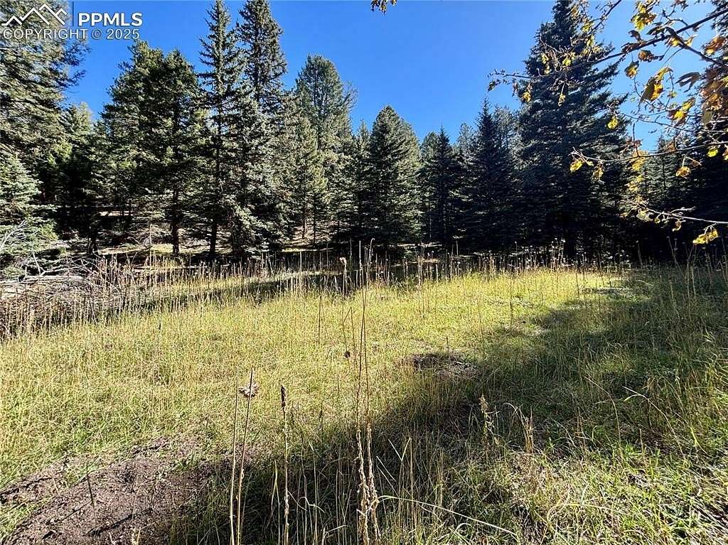 35 Acres of Land for Sale in Conifer, Colorado