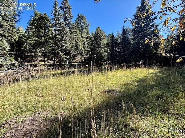 35 Acres of Land for Sale in Conifer, Colorado