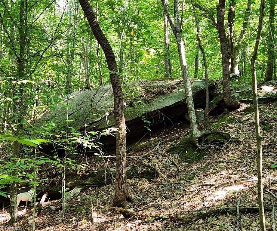 25 Acres of Agricultural Land for Sale in Pilot Mountain, North Carolina