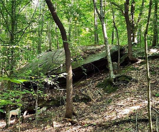 25 Acres of Agricultural Land for Sale in Pilot Mountain, North Carolina