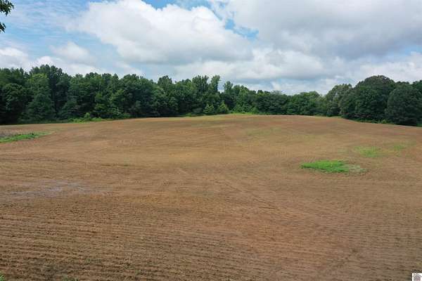 599 Acres of Recreational Land & Farm for Auction in White Plains, Kentucky