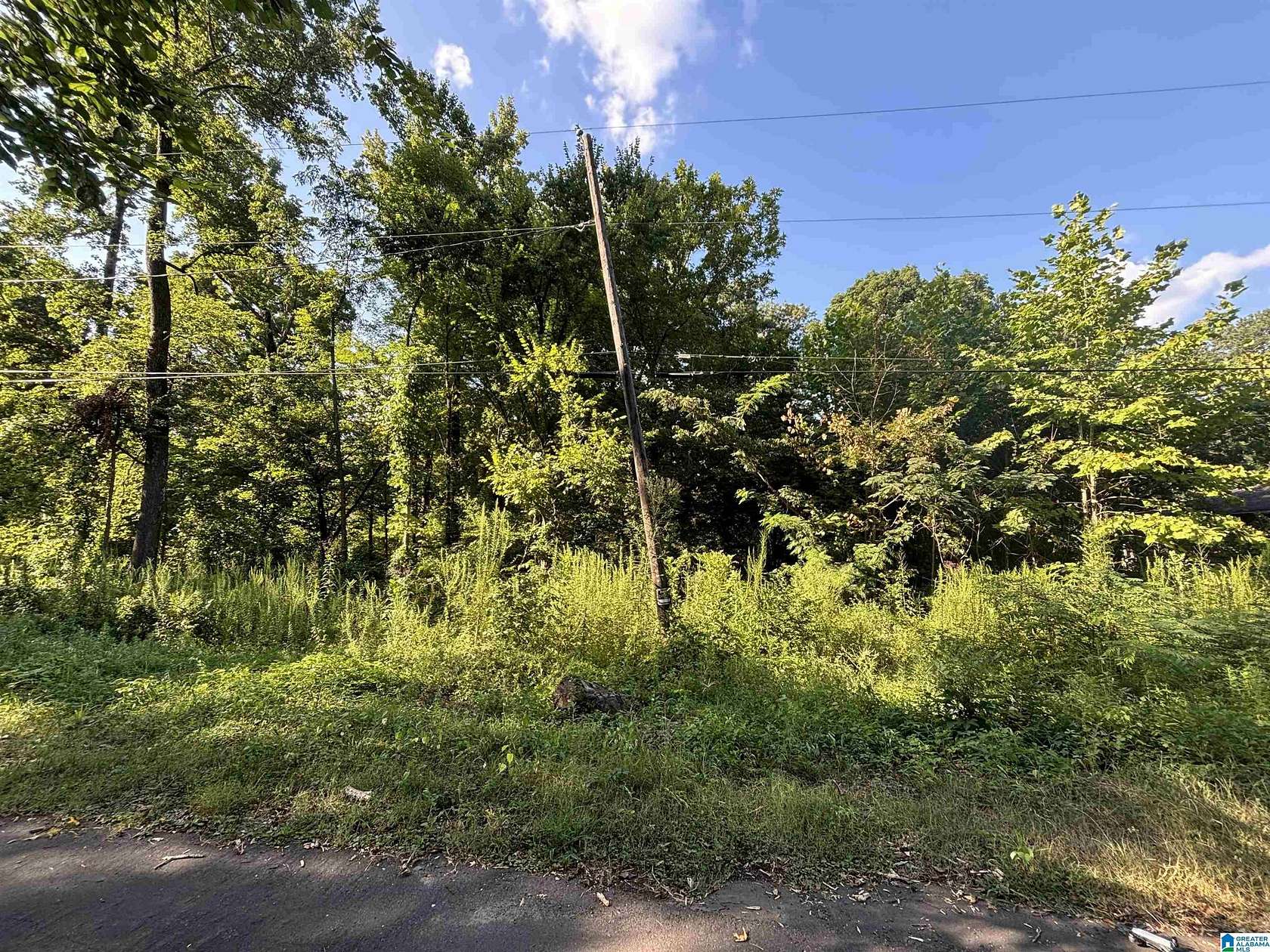 0.49 Acres of Mixed-Use Land for Sale in Irondale, Alabama