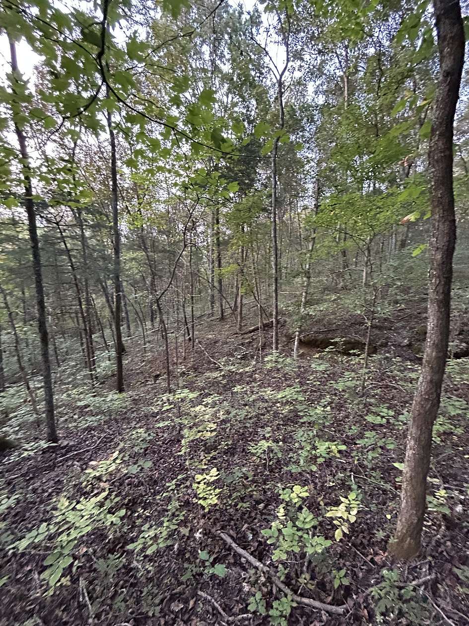 26 Acres of Recreational Land for Sale in Hickman, Tennessee