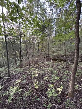 26 Acres of Recreational Land for Sale in Hickman, Tennessee