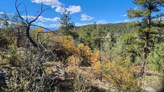 5.24 Acres of Residential Land for Sale in Cotopaxi, Colorado