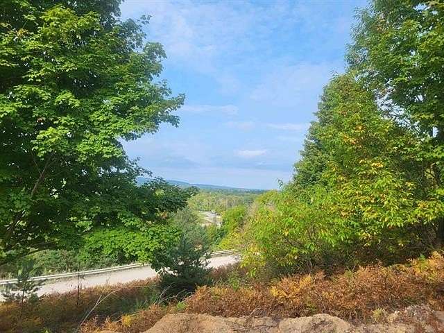 0.45 Acres of Residential Land for Sale in Homestead Township, Michigan