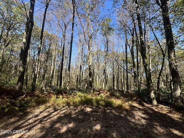 20 Acres of Recreational Land for Sale in Catawissa, Pennsylvania