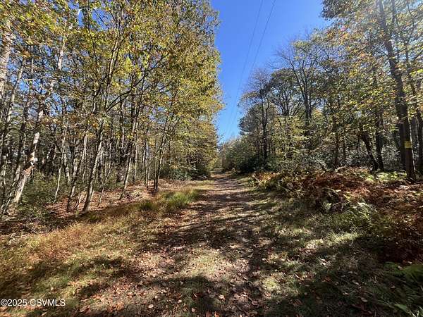 20 Acres of Recreational Land for Sale in Catawissa, Pennsylvania