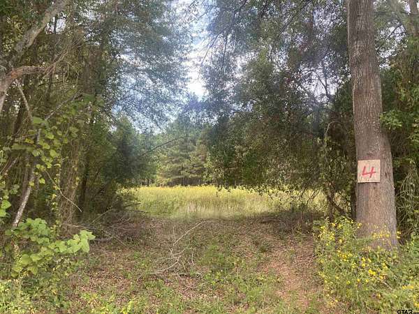 1 Acre of Residential Land for Sale in Cuney, Texas