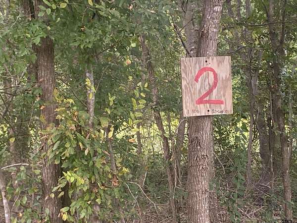 1 Acre of Residential Land for Sale in Cuney, Texas