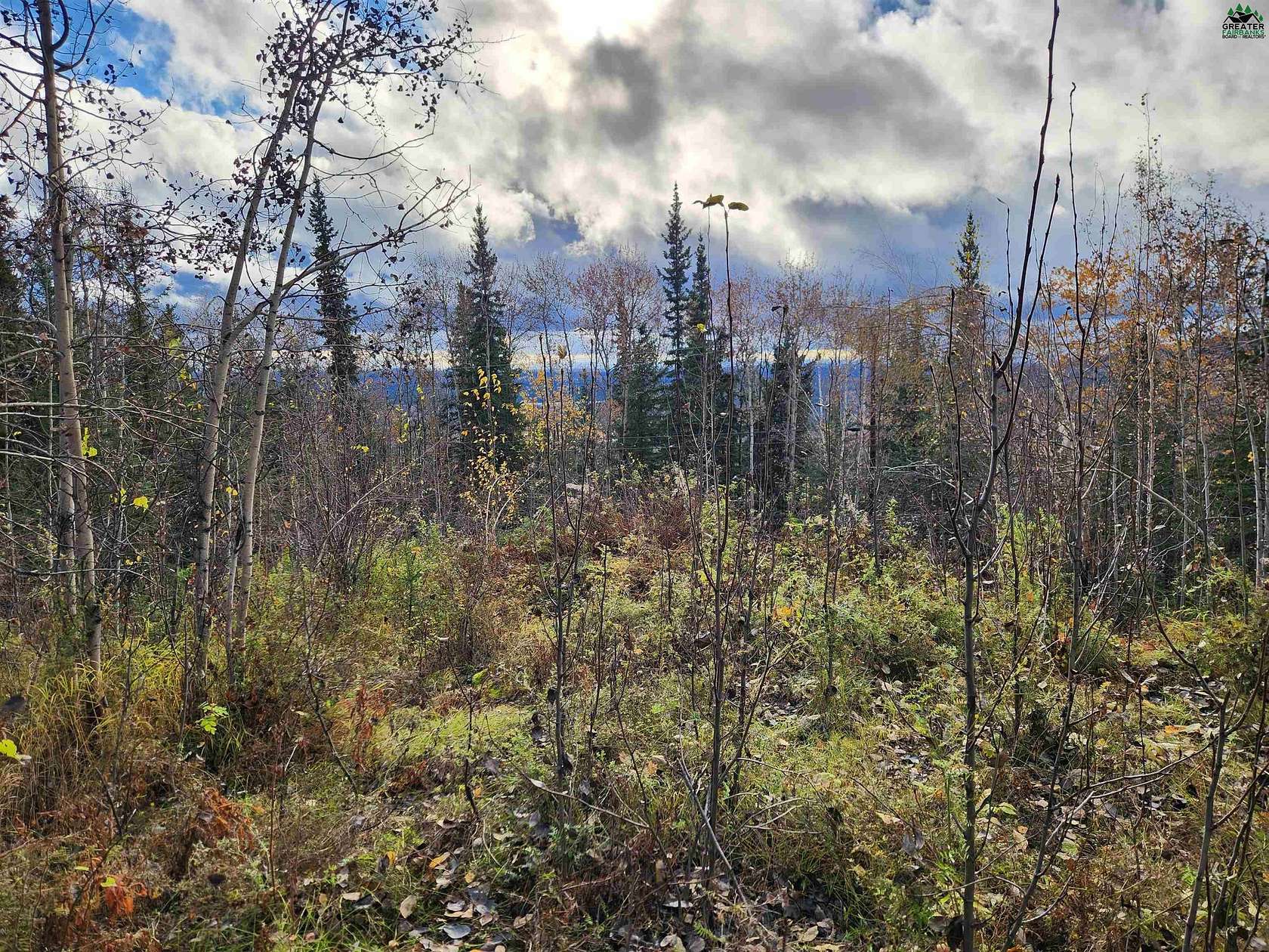 1.84 Acres of Residential Land for Sale in Fairbanks, Alaska