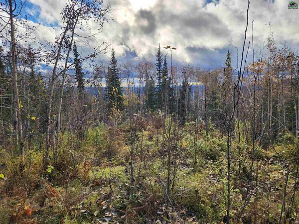 1.84 Acres of Residential Land for Sale in Fairbanks, Alaska