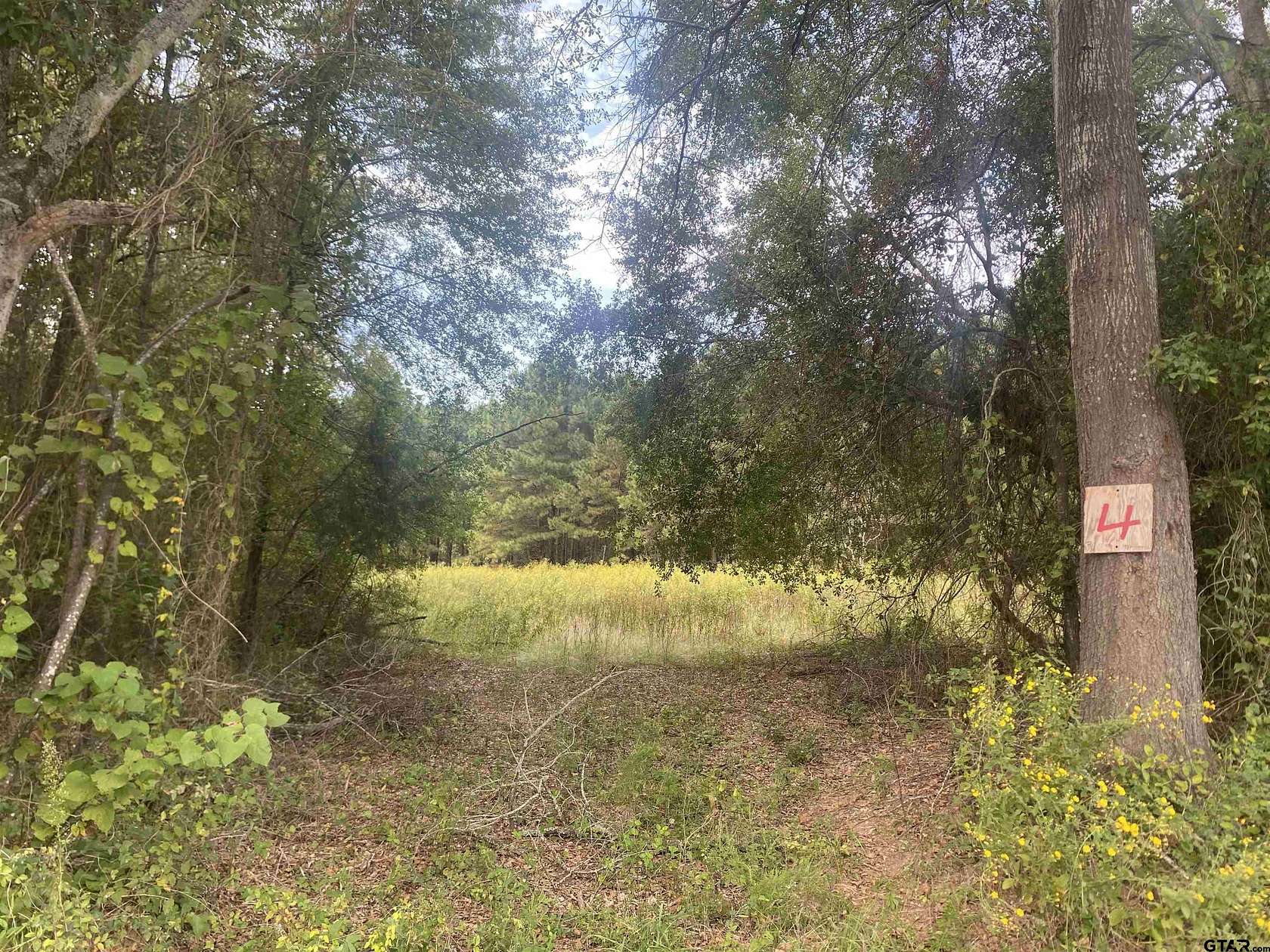 1 Acre of Residential Land for Sale in Cuney, Texas
