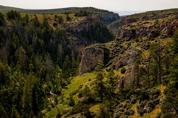 645 Acres of Land for Sale in Shell, Wyoming