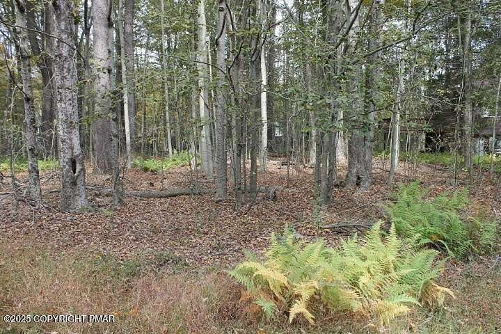 0.28 Acres of Residential Land for Sale in Pocono Lake, Pennsylvania