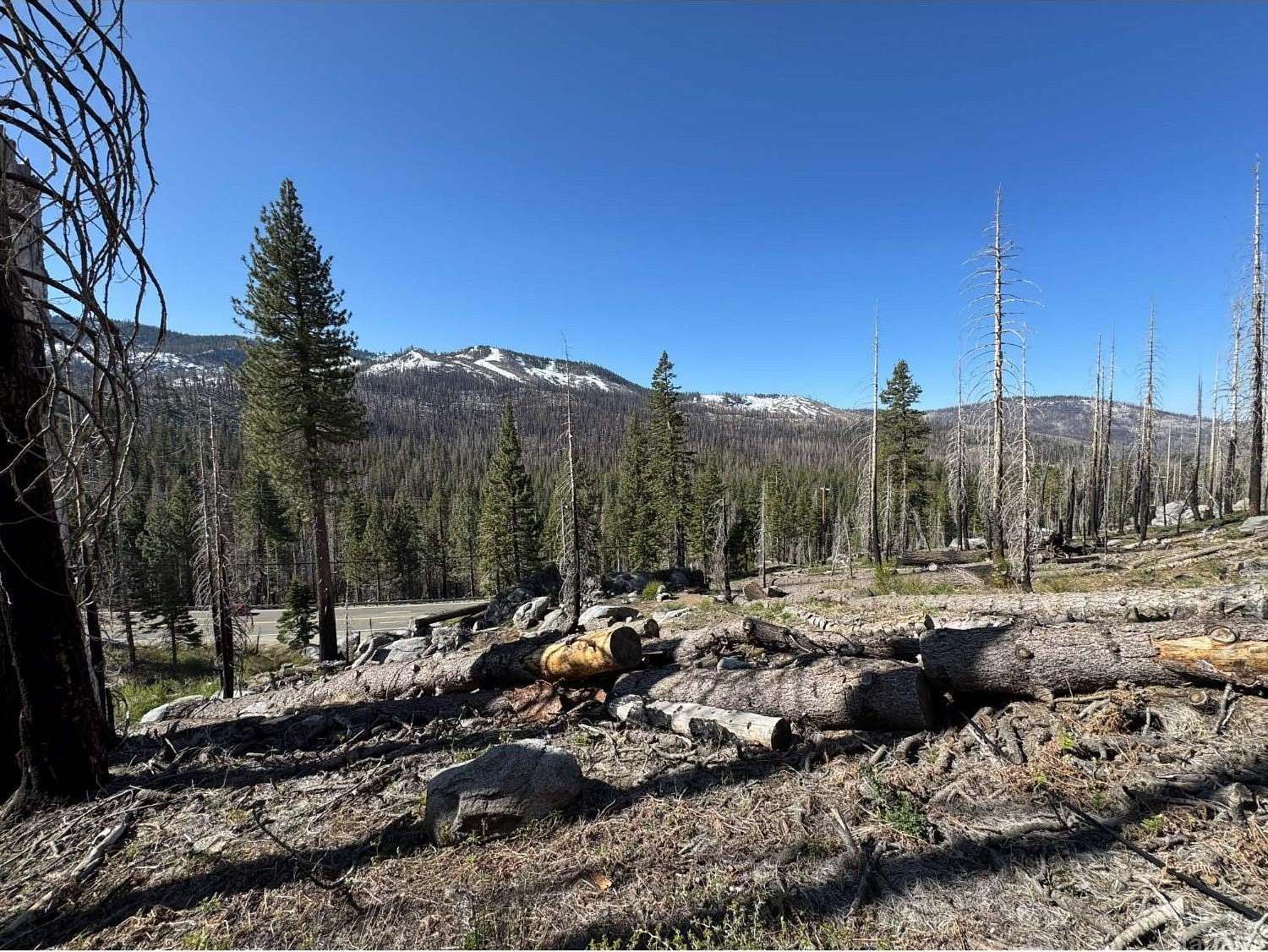 7.54 Acres of Residential Land for Sale in South Lake Tahoe, California