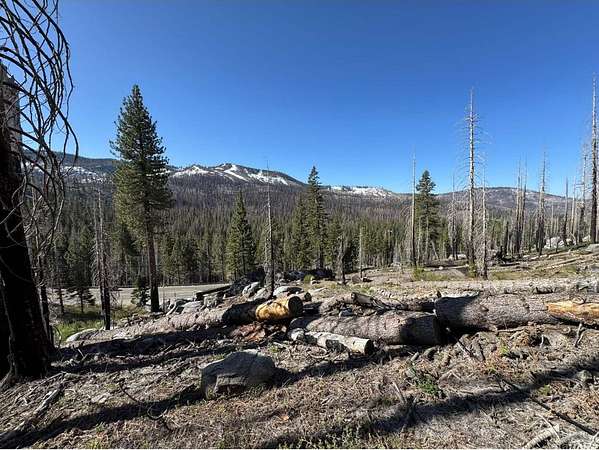 7.54 Acres of Residential Land for Sale in South Lake Tahoe, California