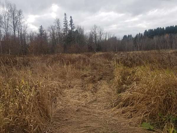 14 Acres of Recreational Land for Sale in Fort Fairfield, Maine