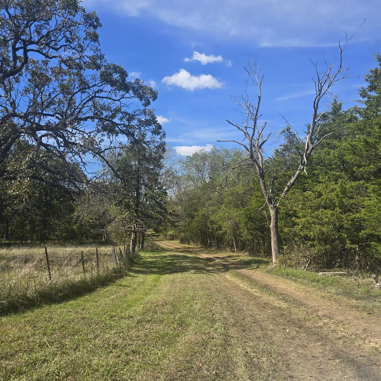 41 Acres of Land with Home for Sale in Pleasant Hope, Missouri
