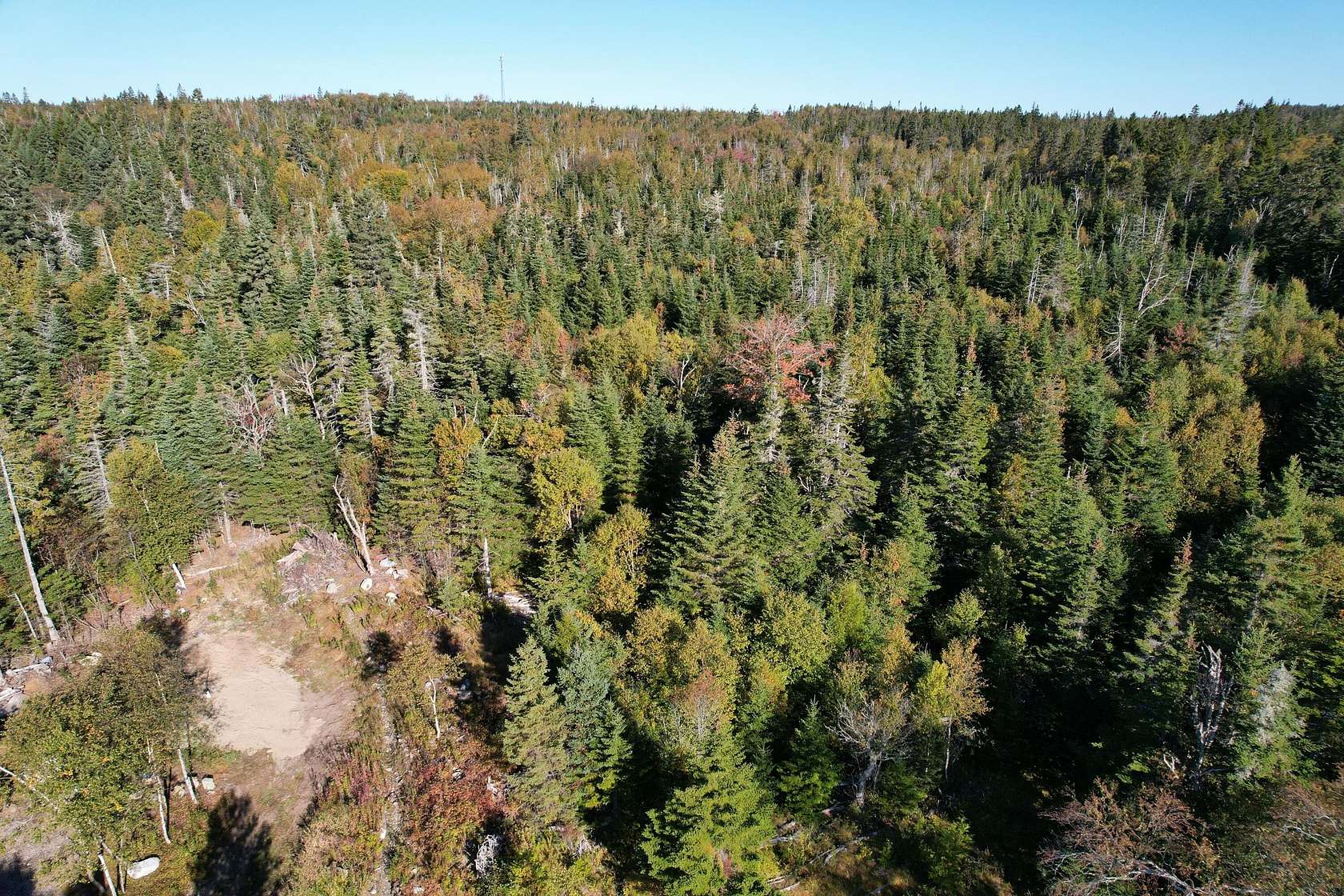 7.7 Acres of Residential Land for Sale in Lubec, Maine