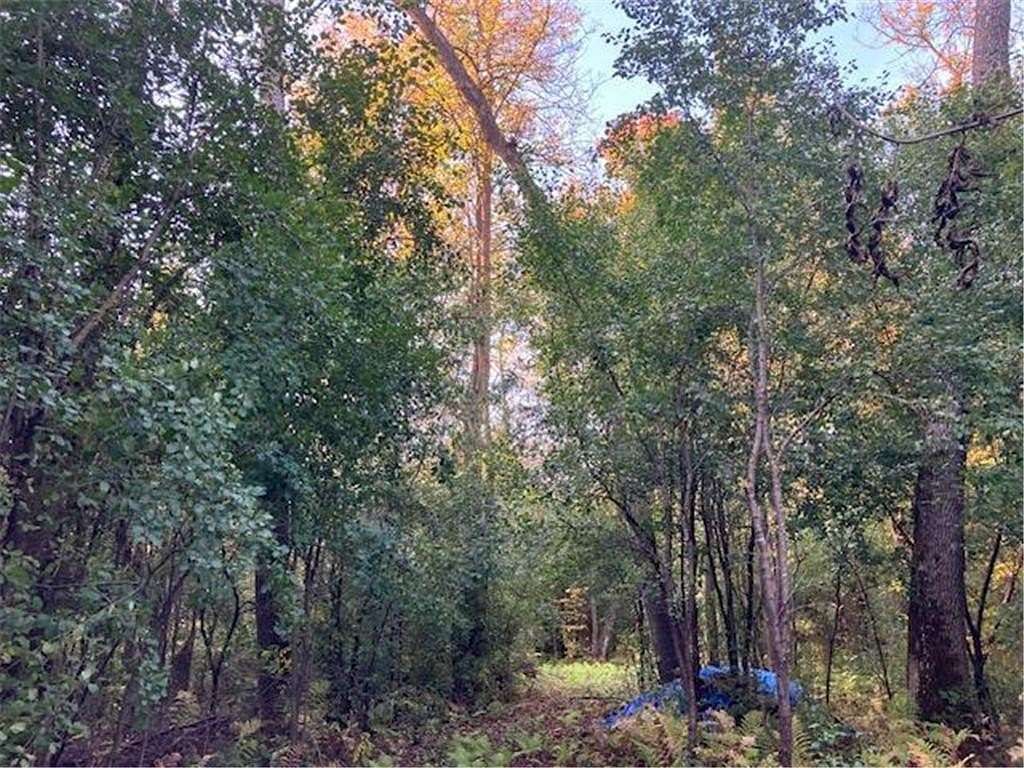 68.7 Acres of Agricultural & Residential Land for Sale in North Branch, Minnesota