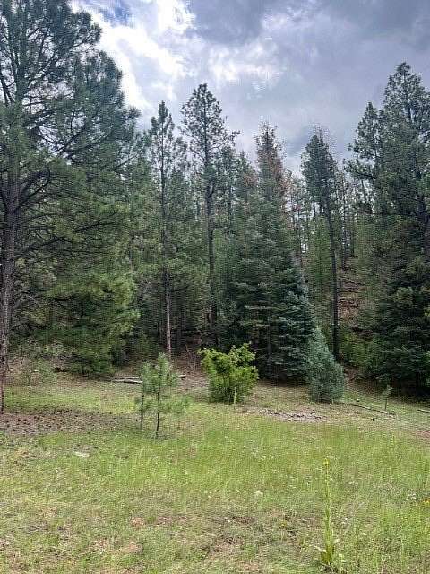 18.6 Acres of Land for Sale in Pecos, New Mexico