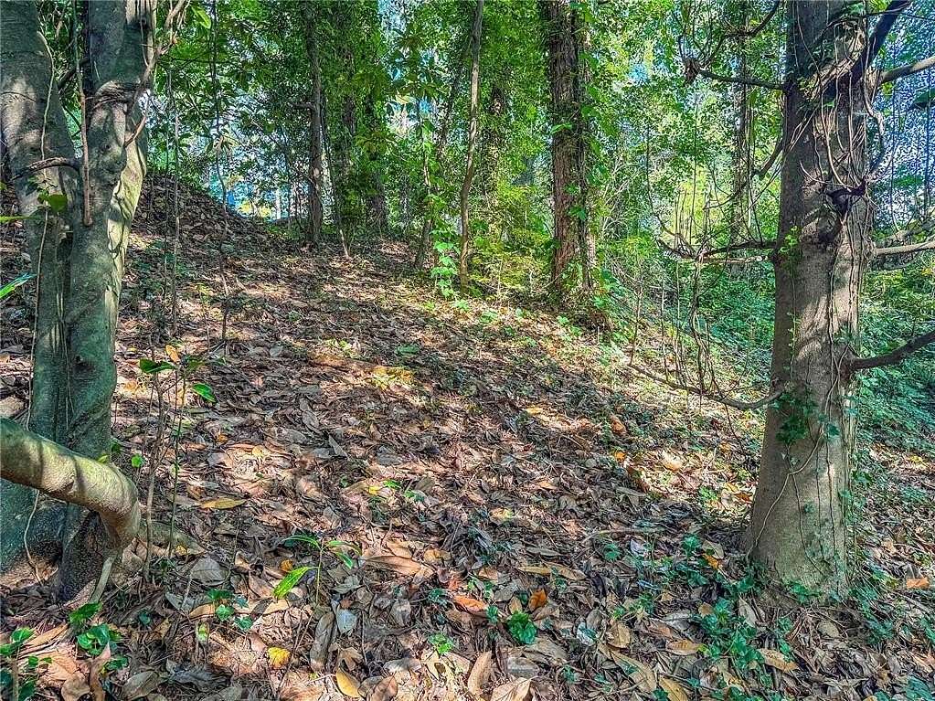 1 Acre of Residential Land for Sale in Toccoa, Georgia