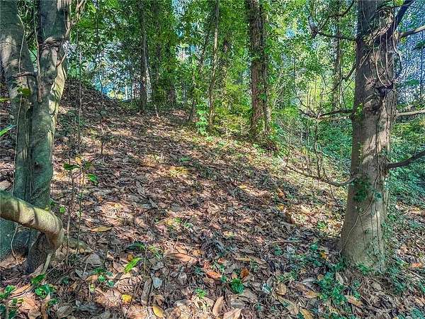 1 Acre of Residential Land for Sale in Toccoa, Georgia