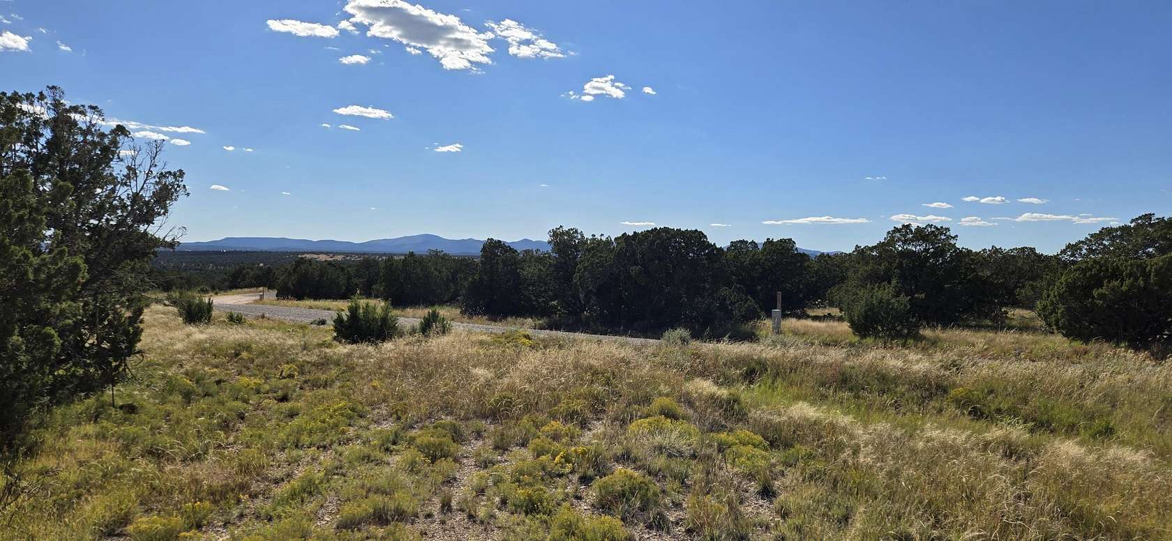 40 Acres of Land for Sale in Corona, New Mexico