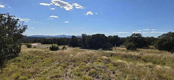 40 Acres of Land for Sale in Corona, New Mexico