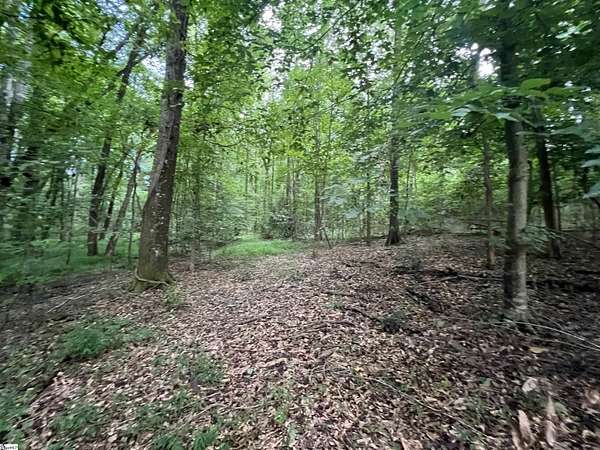 6.2 Acres of Residential Land for Sale in Anderson, South Carolina