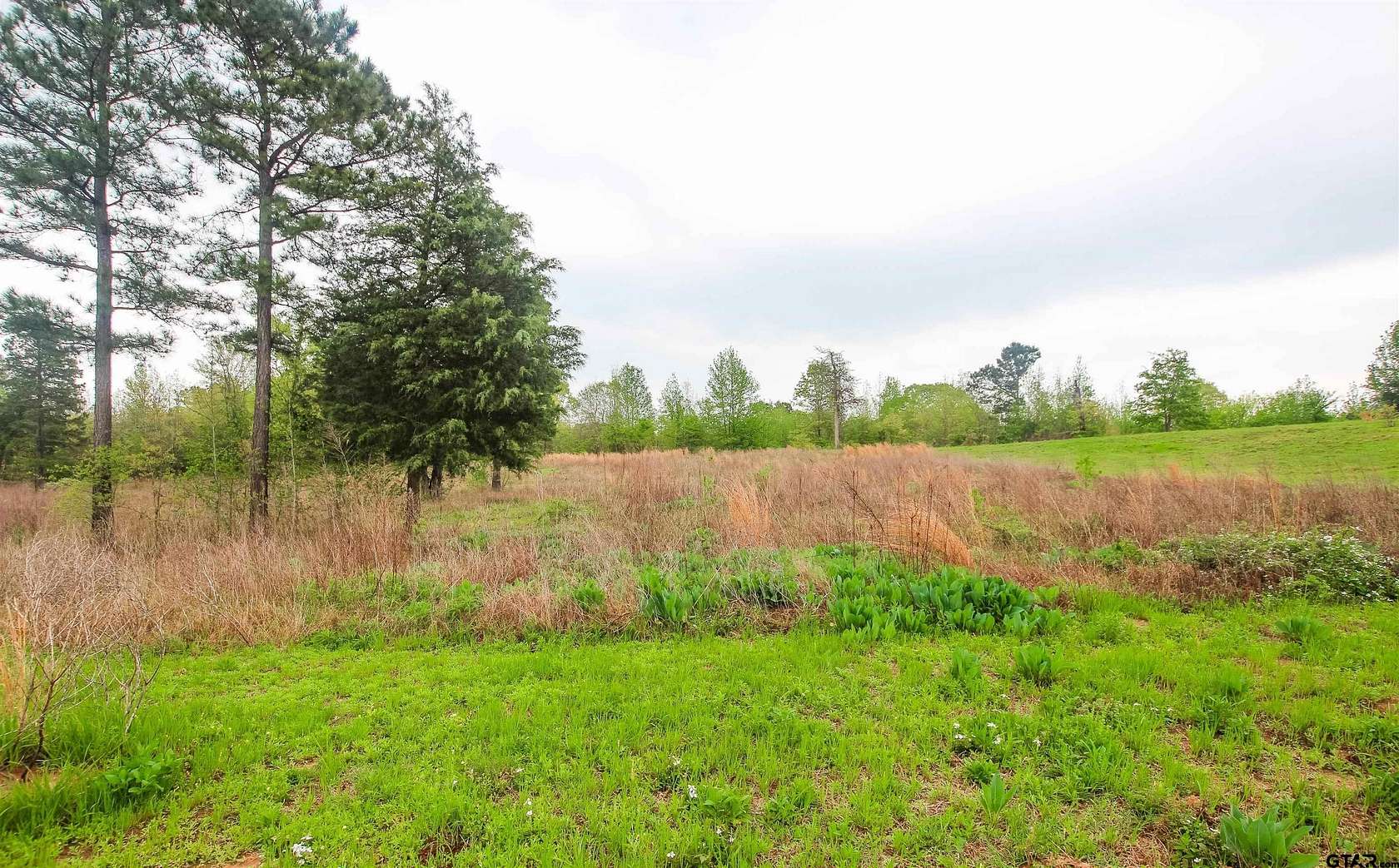 5.2 Acres of Residential Land for Sale in Winona, Texas