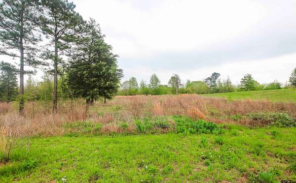 5.2 Acres of Residential Land for Sale in Winona, Texas