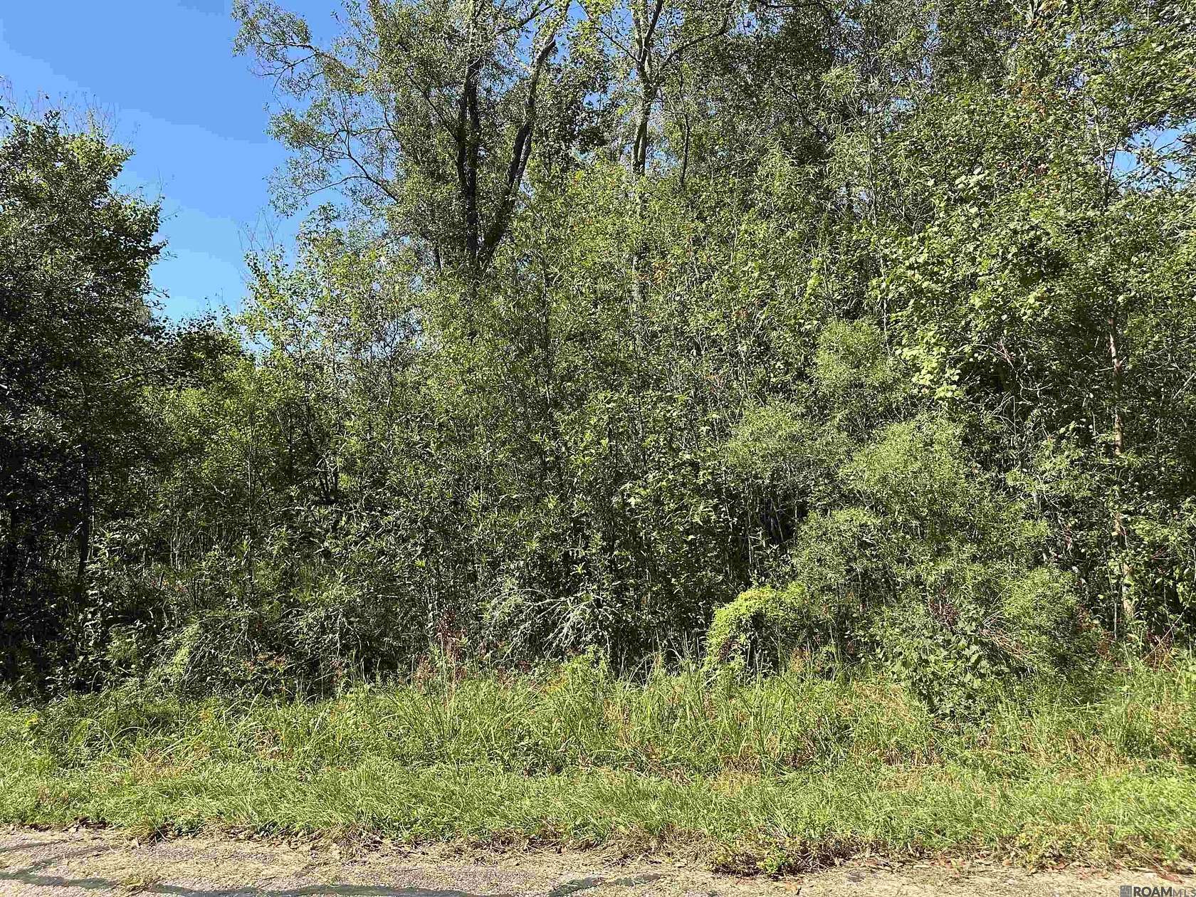 15 Acres of Land for Sale in Springfield, Louisiana