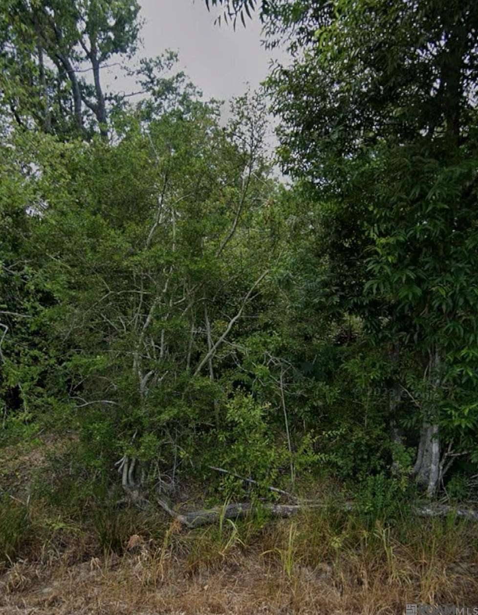 15 Acres of Land for Sale in Springfield, Louisiana