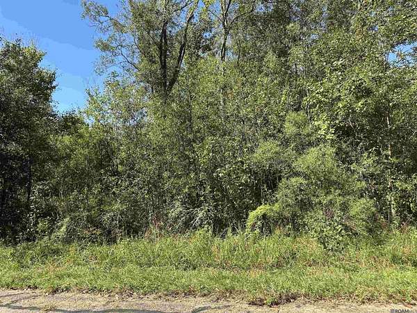 15 Acres of Land for Sale in Springfield, Louisiana